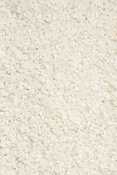 Rice Protein