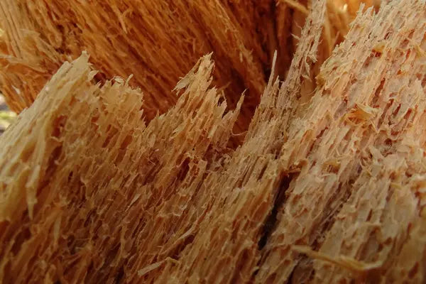 Acacia fiber
