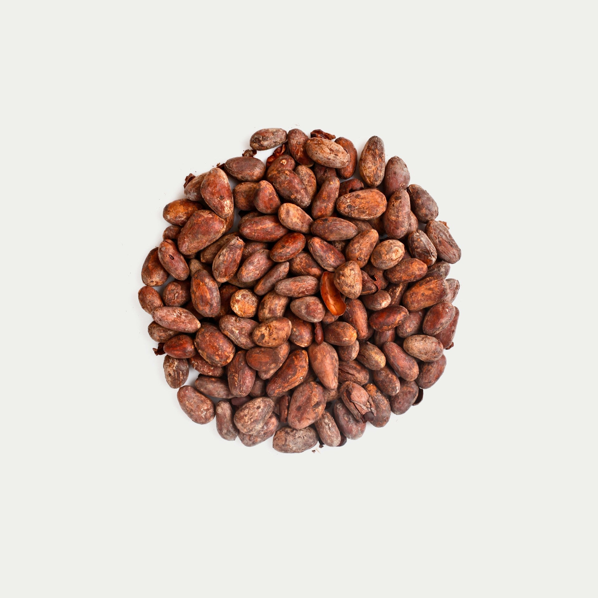 Biome Secret Cacao