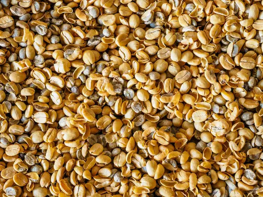 Hemp seed