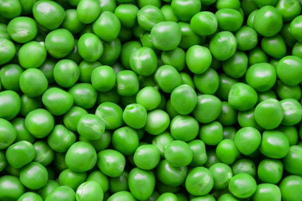 Pea protein