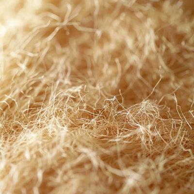 Psyllium Husk Powder