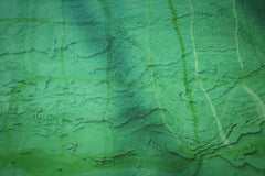 Organic Spirulina